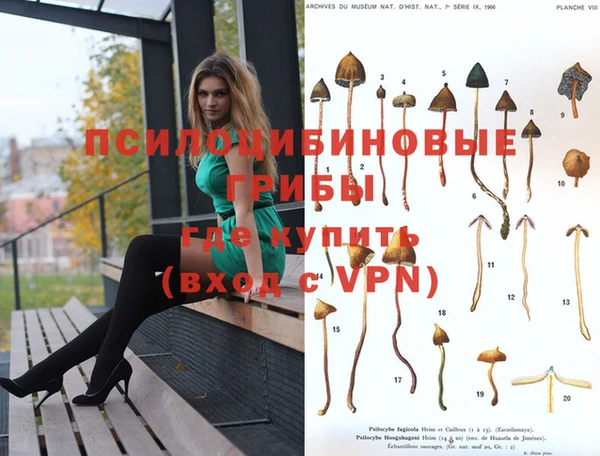 прущие крисы Абдулино