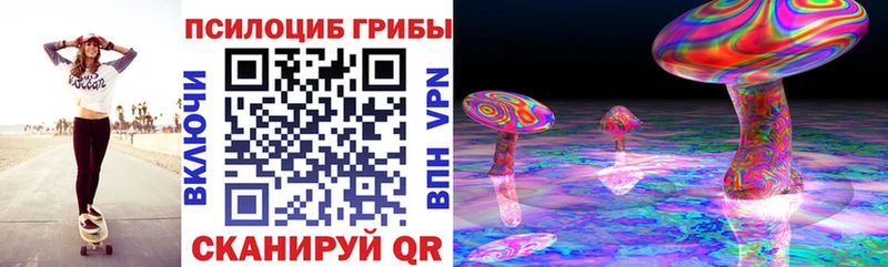 Псилоцибиновые грибы Psilocybine cubensis  дарнет шоп  Тайга 